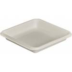 Square Shaped Plates